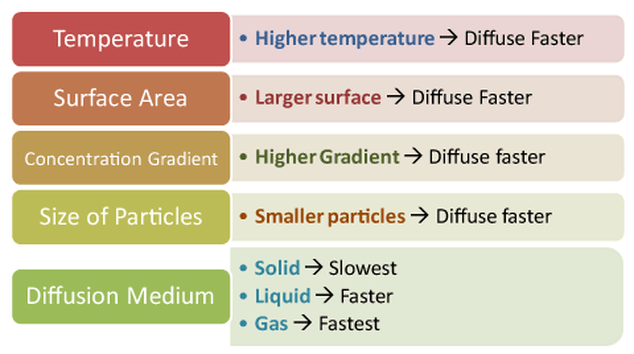 🎉 How does temperature affect the rate of osmosis in