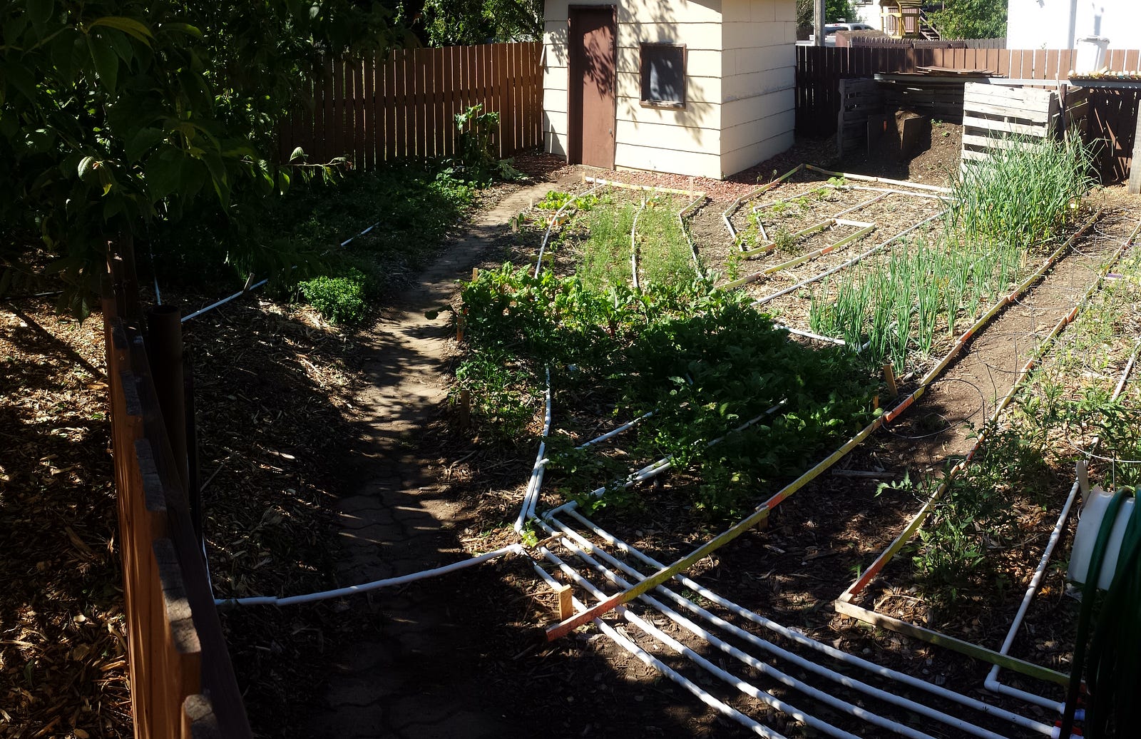 PVC Pipe Drip Irrigation Scott Gillespie Medium