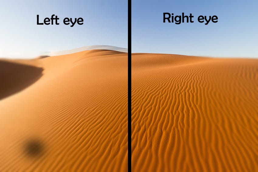 What Does Shadow Out Mean at Virginia Kelly blog