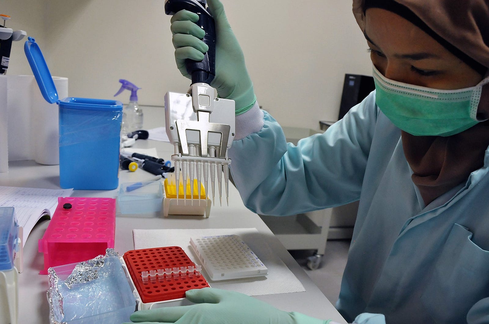 Residents in Yogyakarta Fight Dengue by Releasing