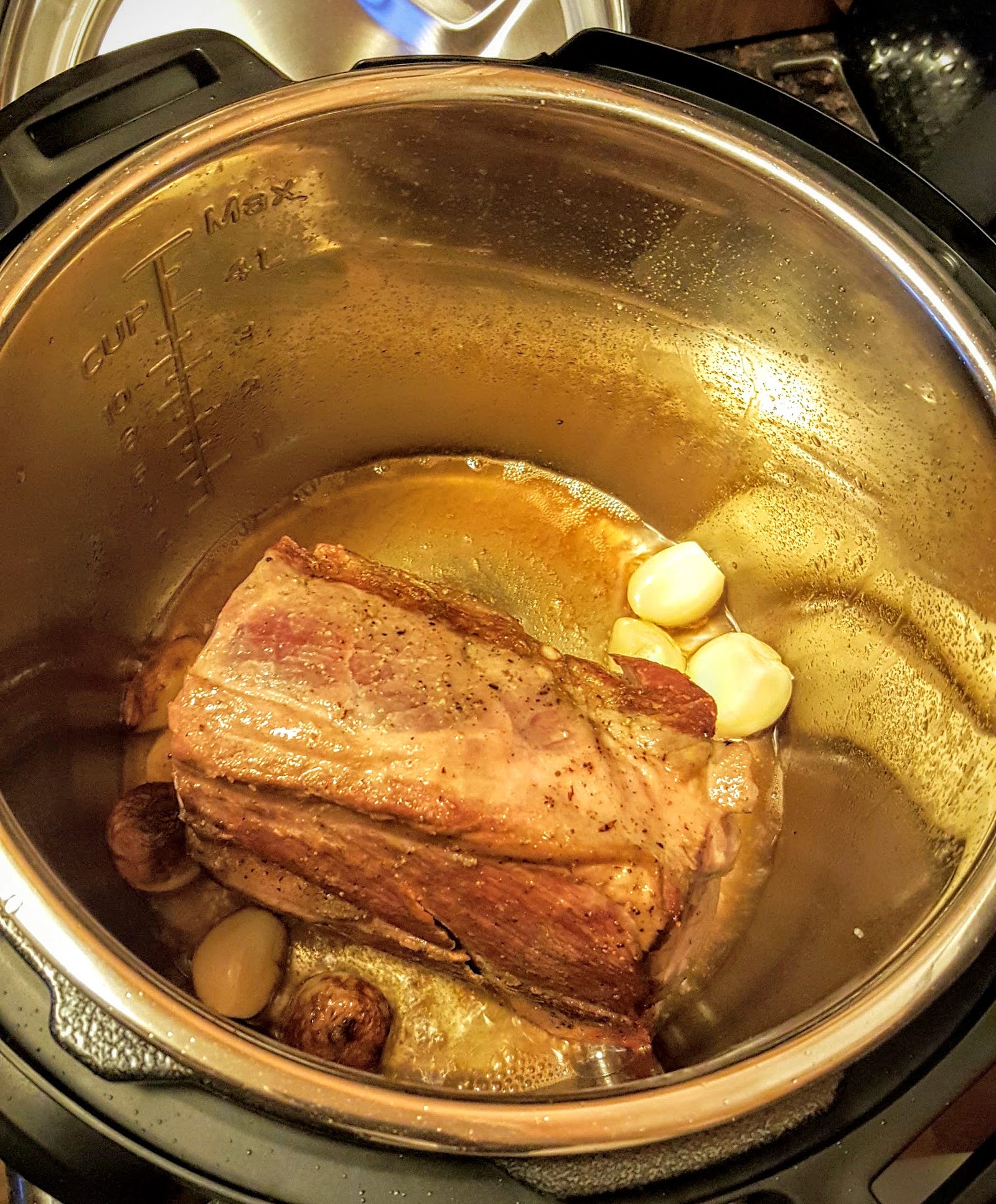 Pressure Cooker Pork Shoulder Stew 2x Dinner Medium