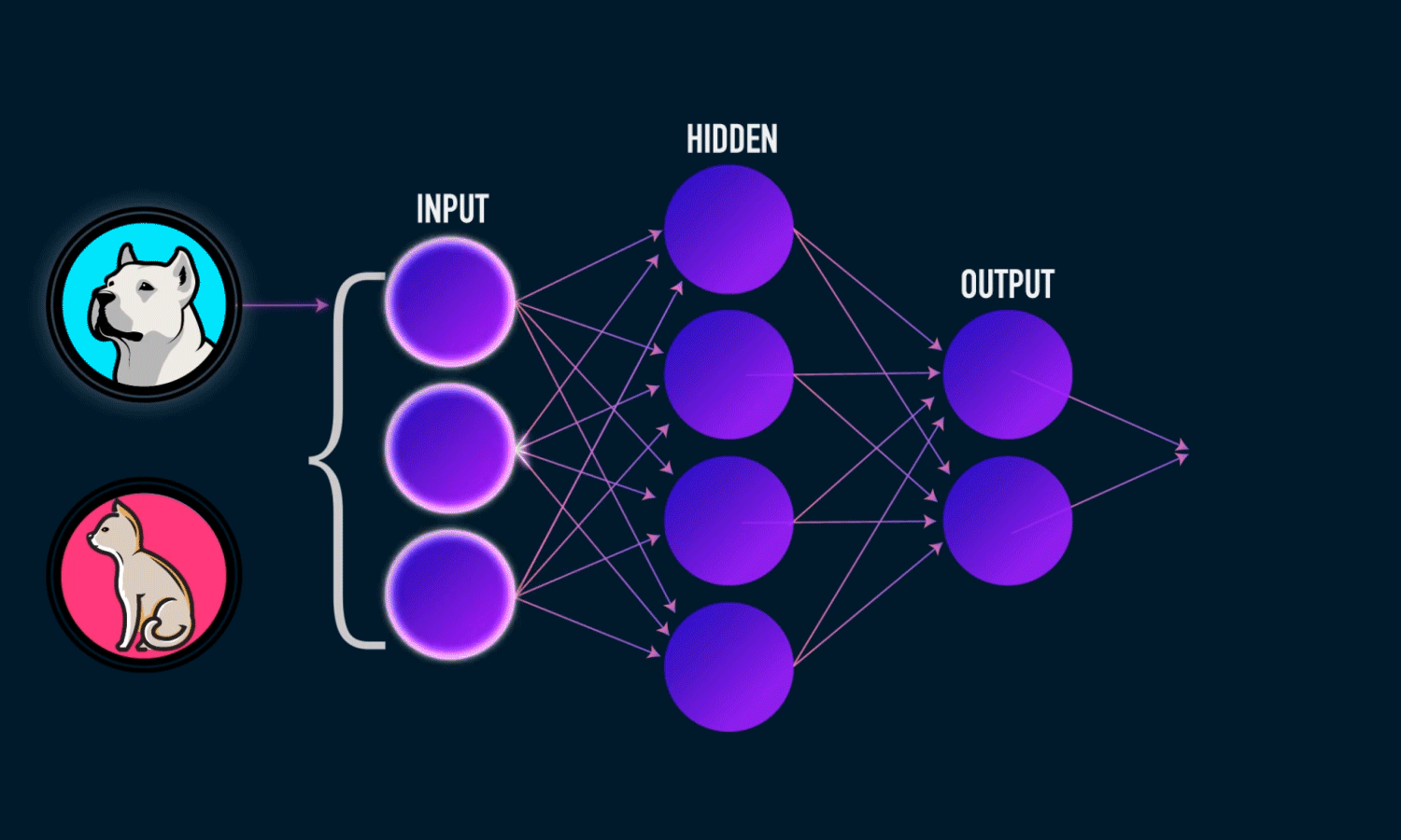 Everything you need to know about Neural Networks and Backpropagation