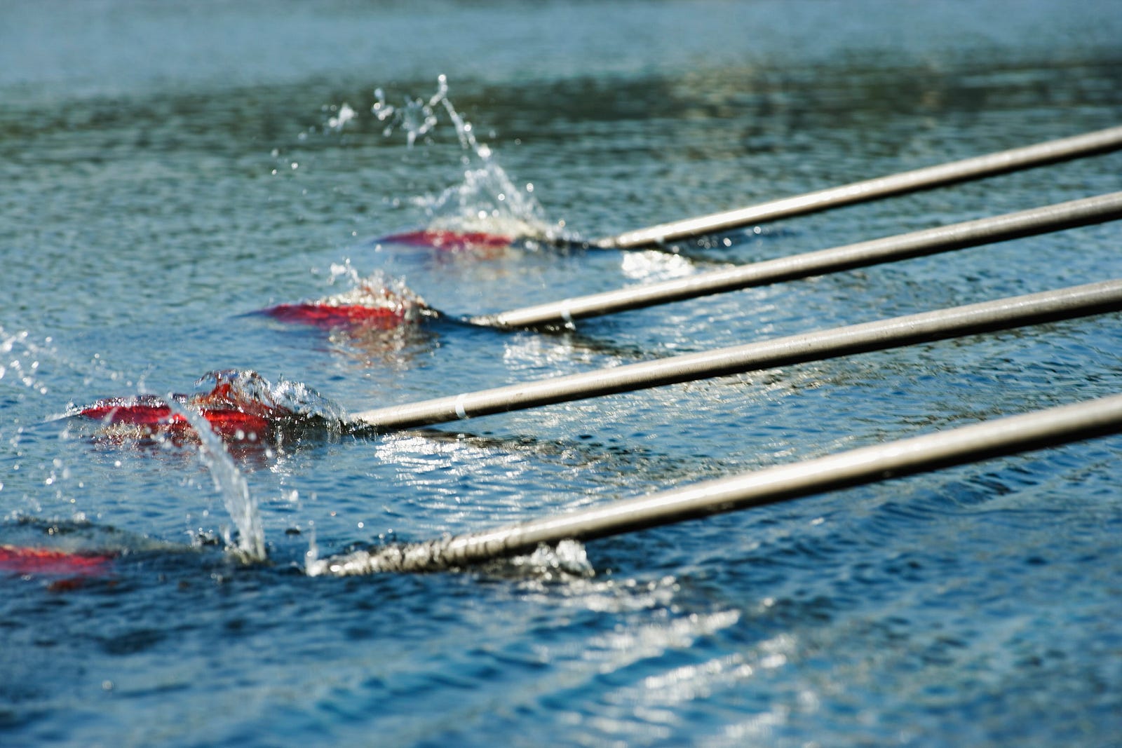 What Rowing Taught Me About Leadership SAP Innovation Spotlight Medium What Rowing Taught Me About Leadership SAP Innovation Spotlight Medium