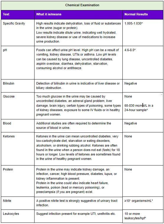 24 Hour Urine Test Results While Pregnant Pregnancy Test Work