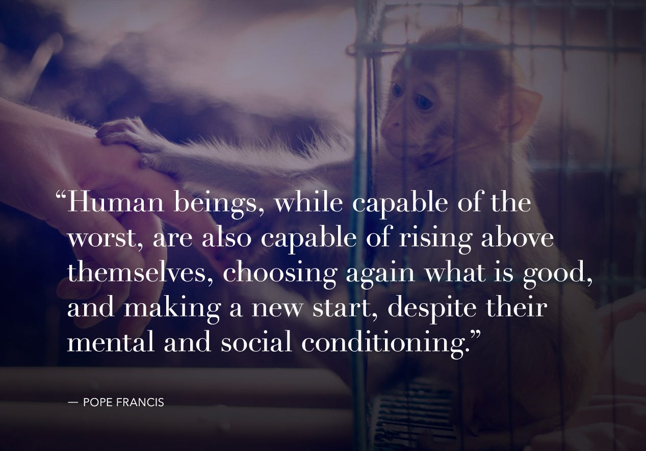 How We Treat Animals Reflects Humanity Thrive Global Medium