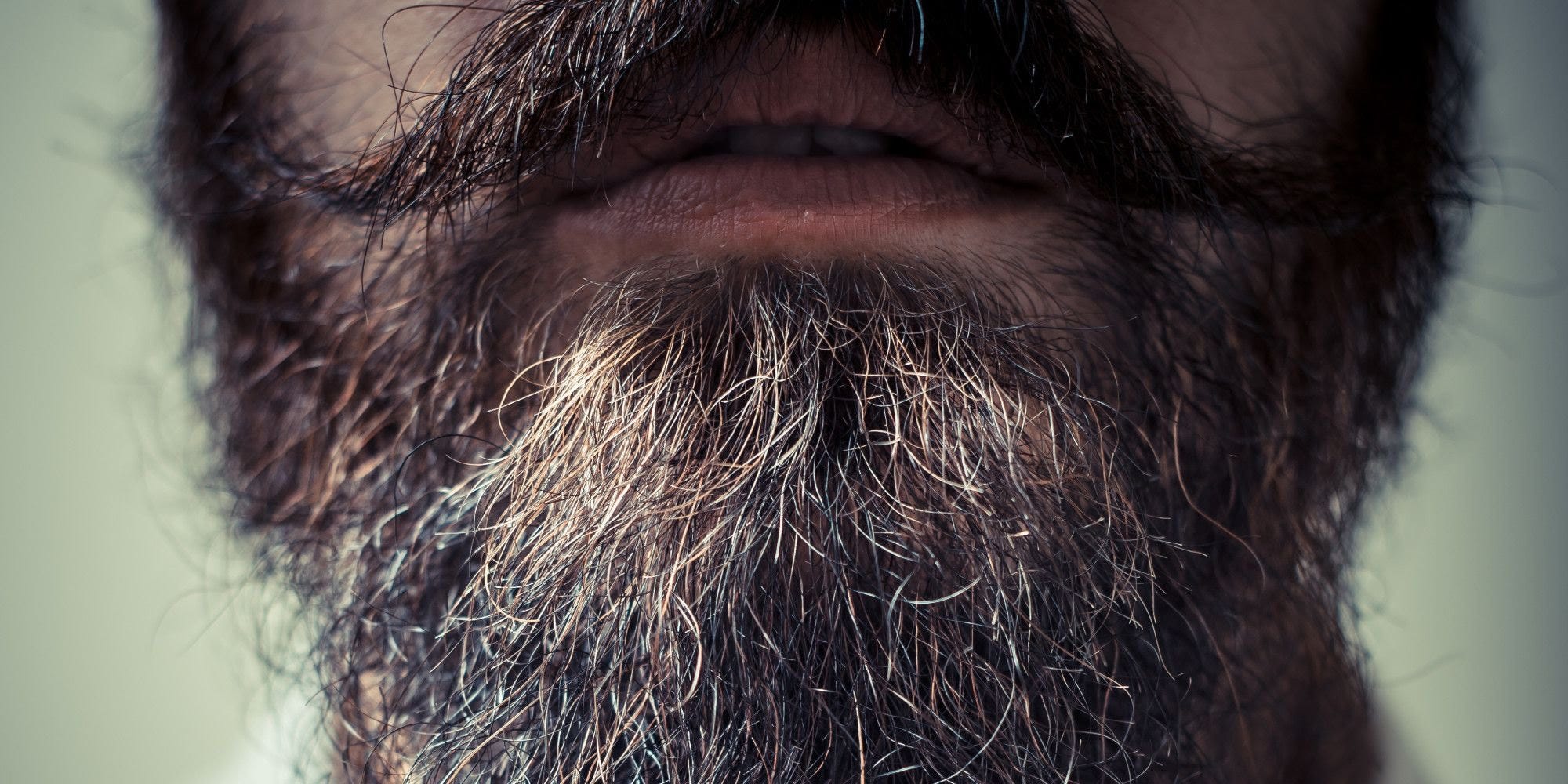 Help! My Beard is Falling Out! St. Kilda Beard Care Medium Help! My Beard is Falling Out! St. Kilda Beard Care Medium