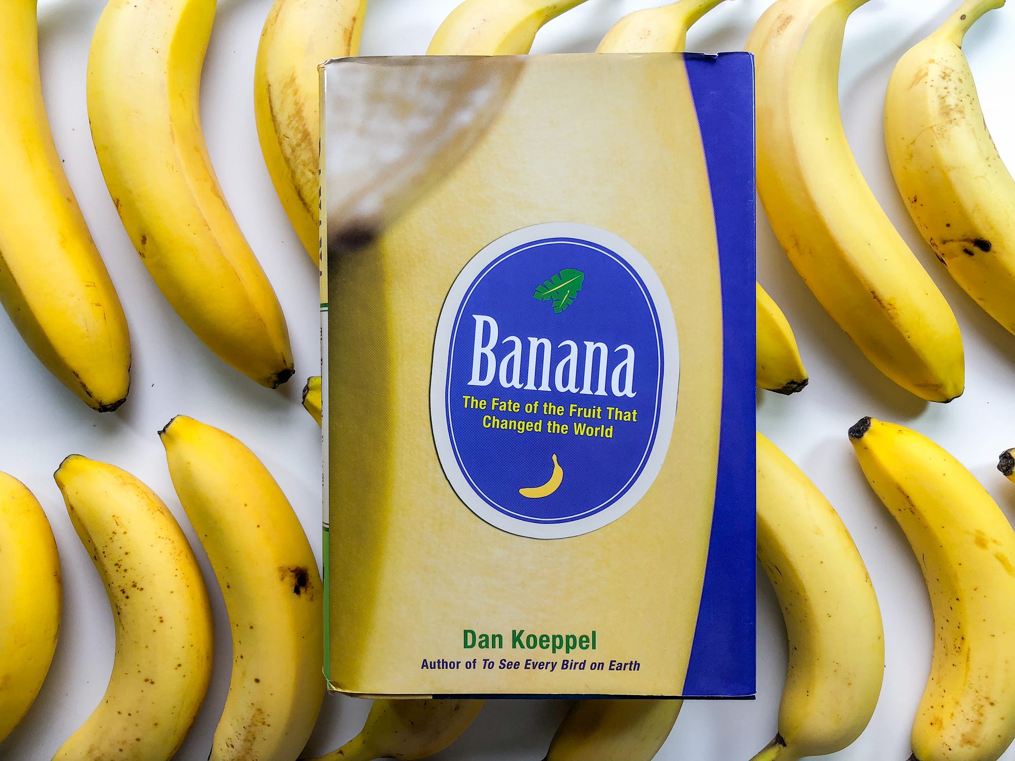 BANANA DAN KOEPPEL PDF