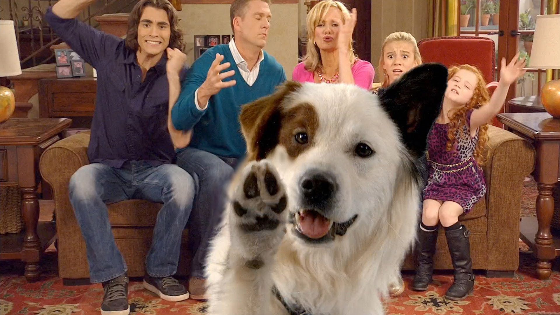 9 Modern Reboots For ‘Dog With A Blog’ Alex Zalben Medium
