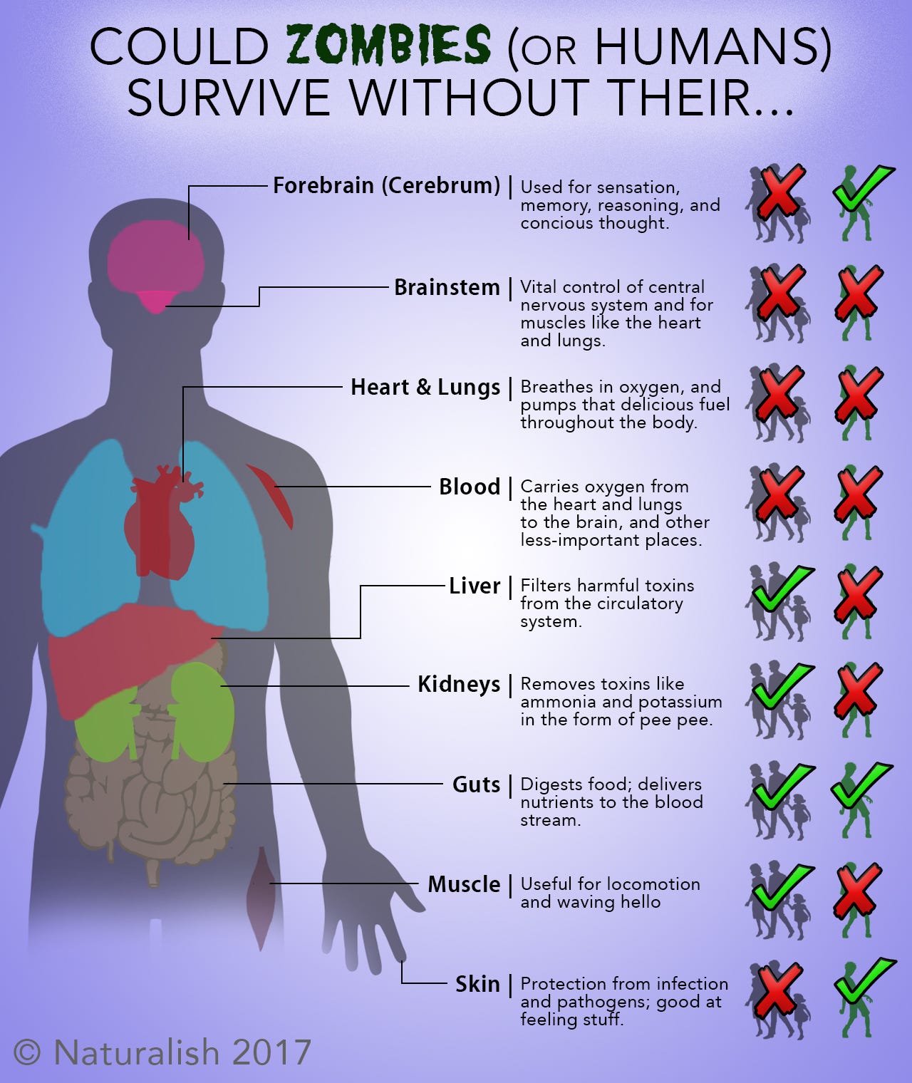 The Zombie Anatomy How to Kill the Living Dead