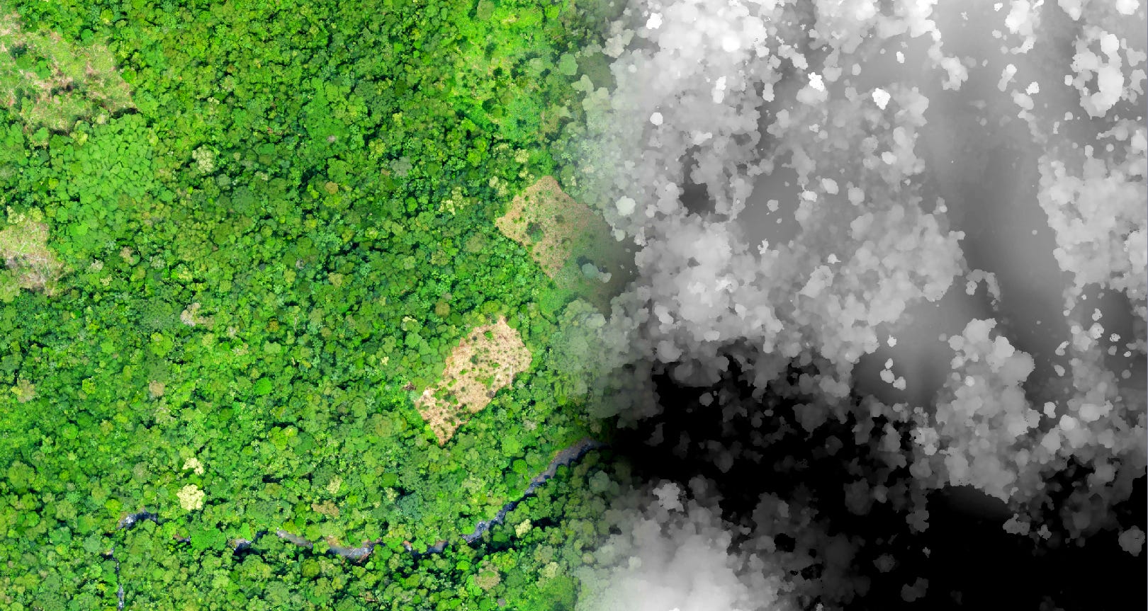 Forest Information Technology to Protect and Manage Forests Sustainably