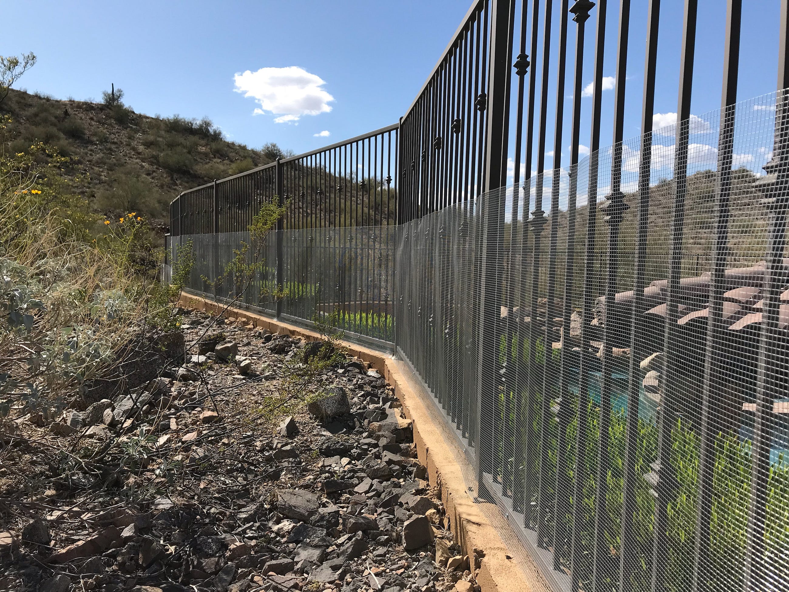 10 Important Things to Look for in a Rattlesnake Fence Provider — The Definitive Buyer’s Guide to…