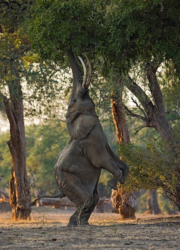 National Geographic Photo Contest 2013 Jaap Willem Photography and Mobile marketing