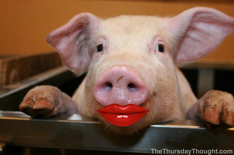 “Lipstick on a Pig” or change the Animal? The Innovation Show