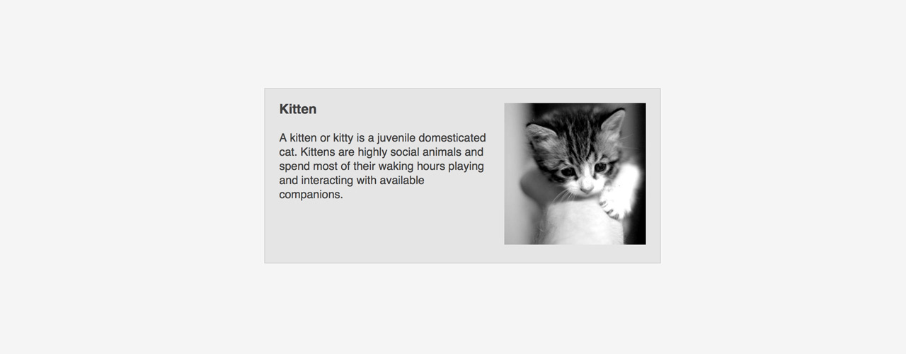 Responsive Captioned Images Email Design Reference