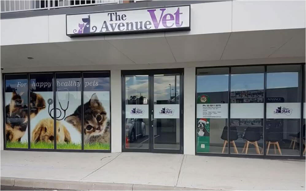 The Avenue Vet Jaz Effect