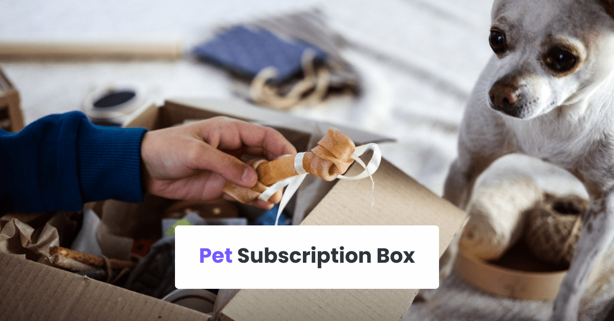 5 Subscription Box Business Ideas That Will Inspire You