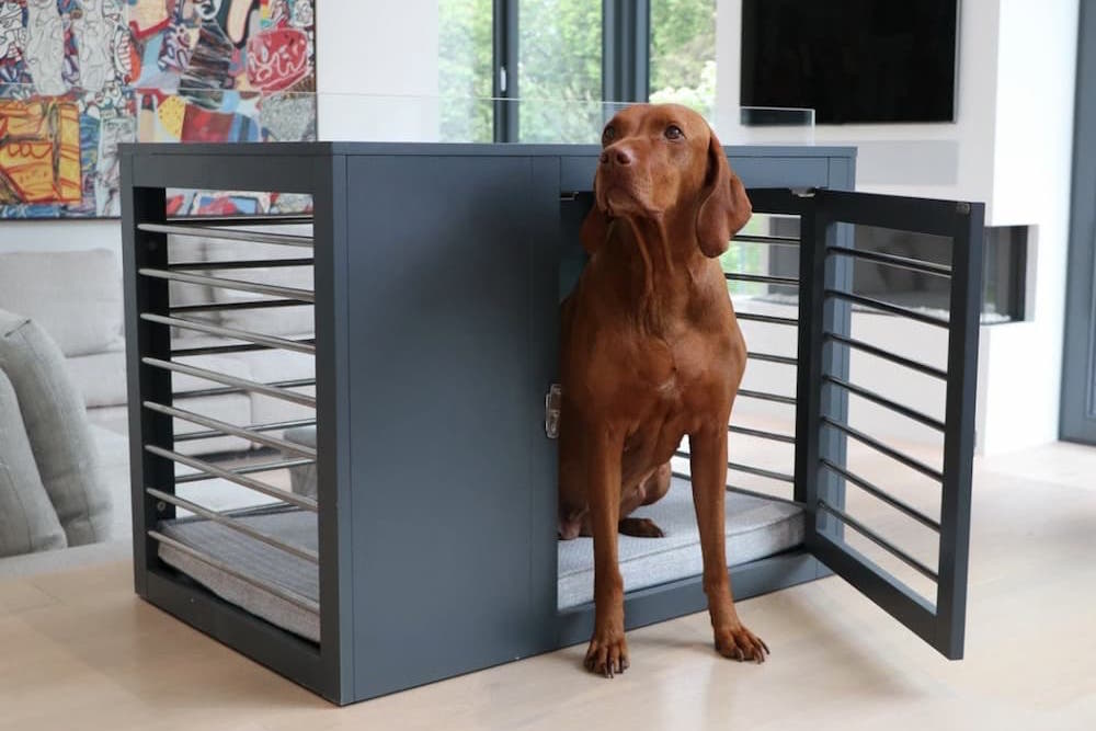 What Is The Strongest Dog Crate Available