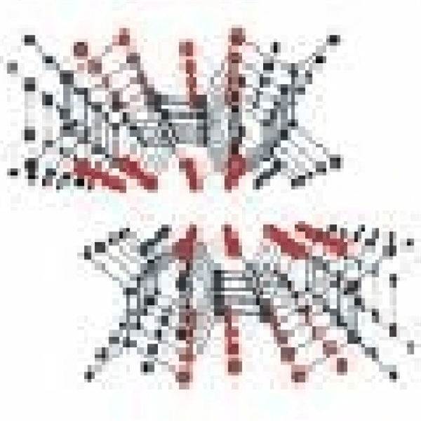 Terahertz Wellen Free Radio TuneIn