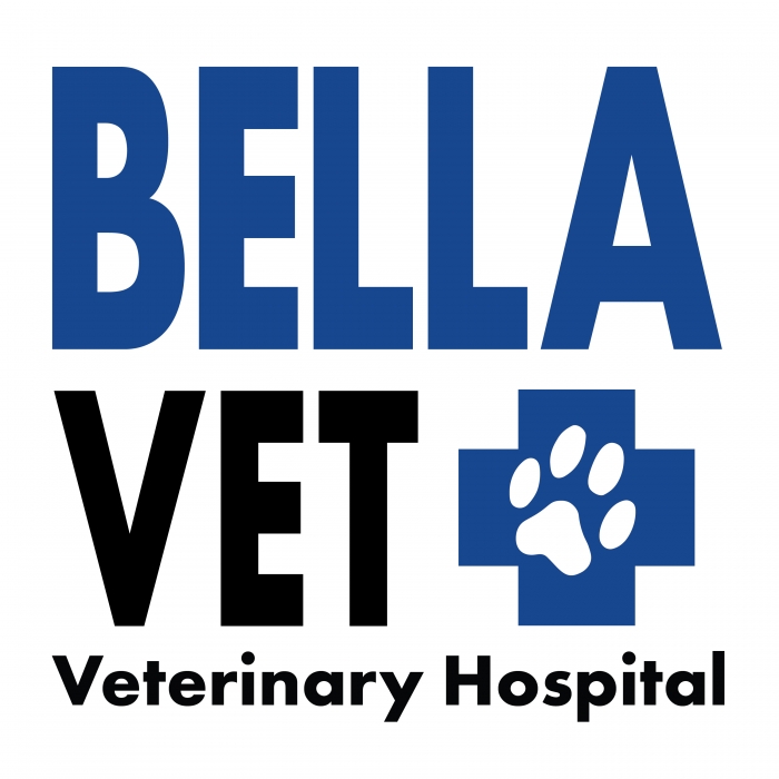 Schedule Appointment With Bella Scpa