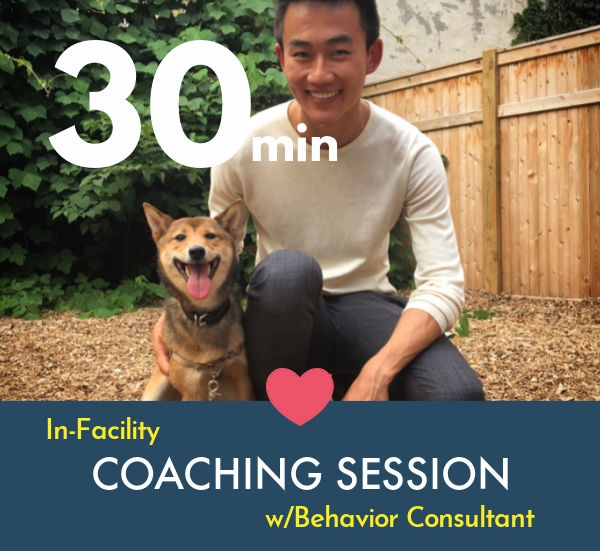 Schedule Appointment with Instinct Dog Training Englewood