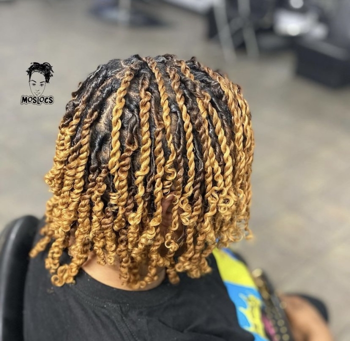 Starter Locs Two Strand Twists