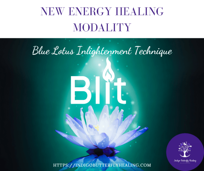 Schedule Appointment with Indigo Butterfly Healing