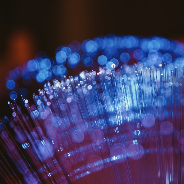 Schedule Appointment with Indigo Light Path