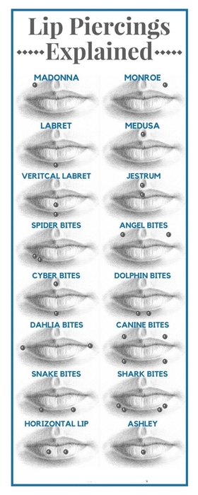 Schedule Appointment