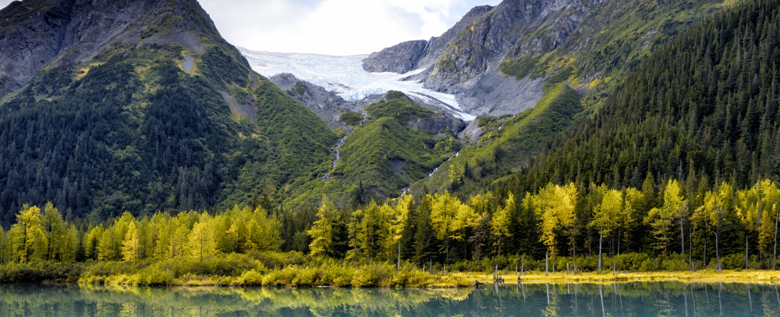 Schedule Appointment with Jack White Real Estate