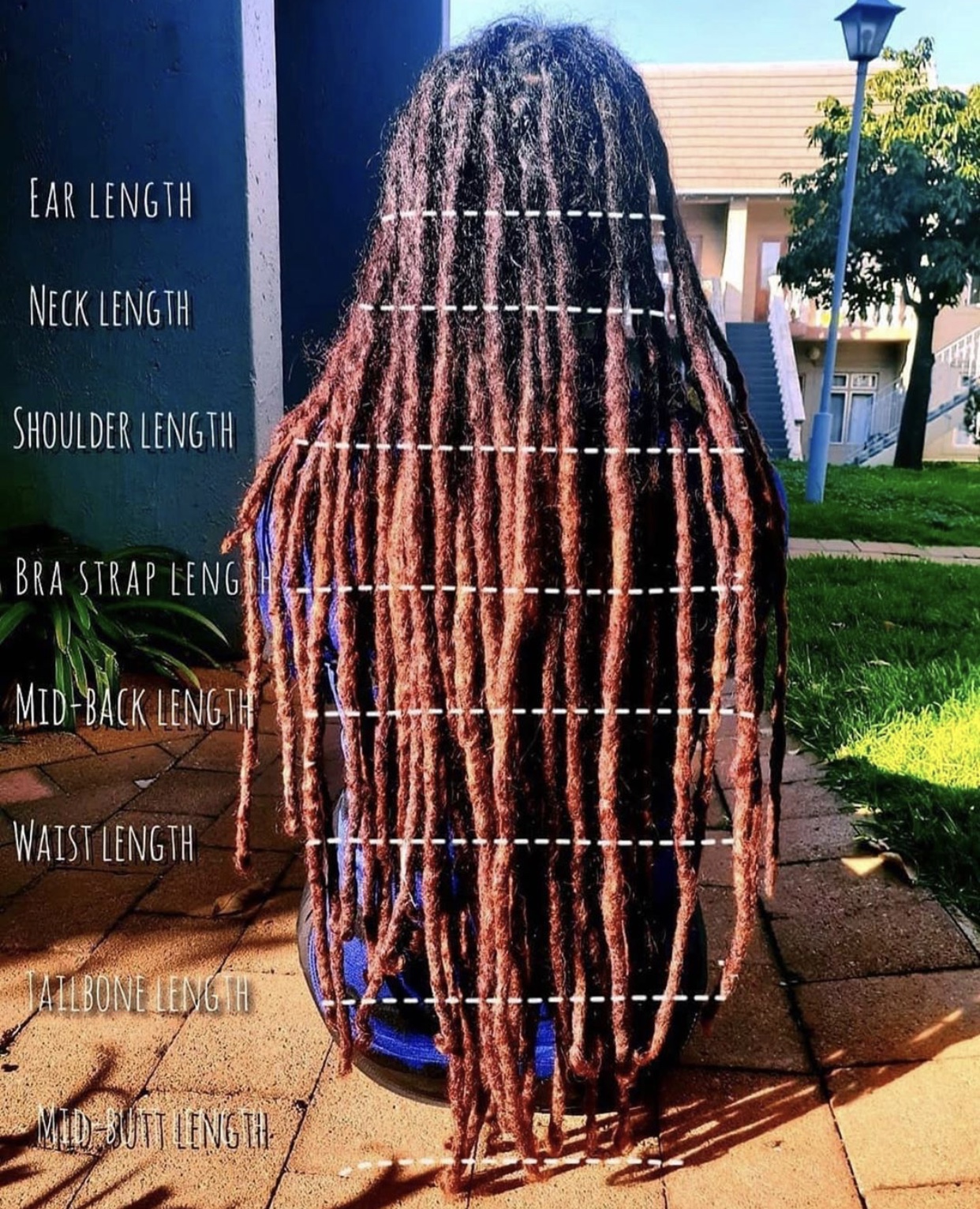 Dread Retwist Price Melbourne Dreadlocks Natural Organic Dreadlocks