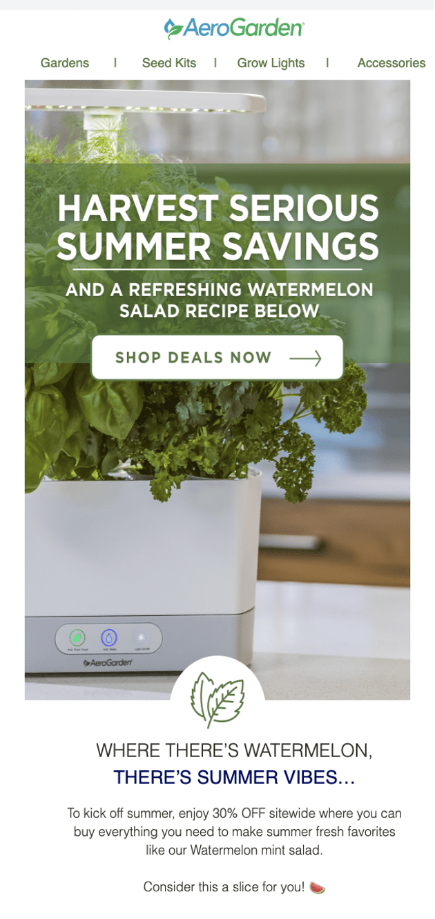 Best Strategies to Get Summer Email Subject Lines Opened OptiMonk Blog