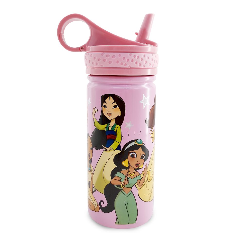 Disney Princess Steel Water Bottle with BuiltIn Straw is available