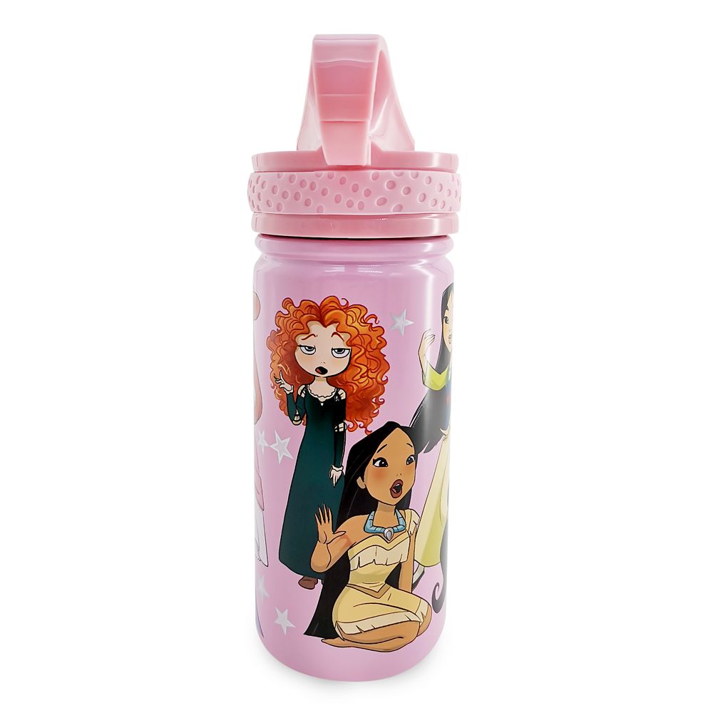 Disney Princess Steel Water Bottle with BuiltIn Straw is available