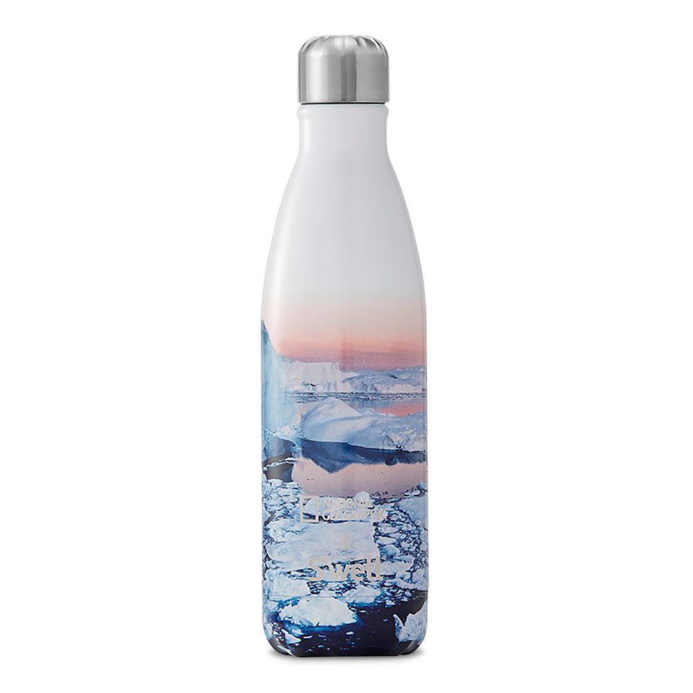 National Geographic Arctic S'well Water Bottle shopDisney