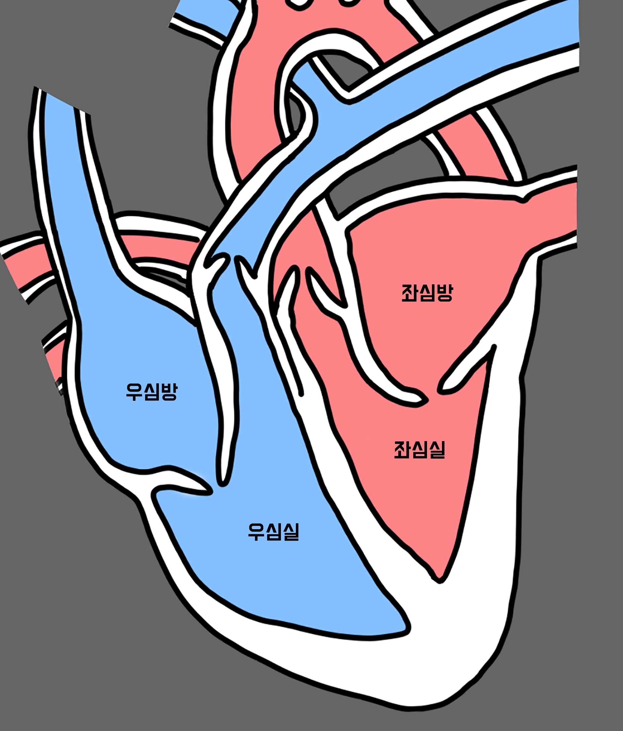 ZEP 혈액순환(공유용)