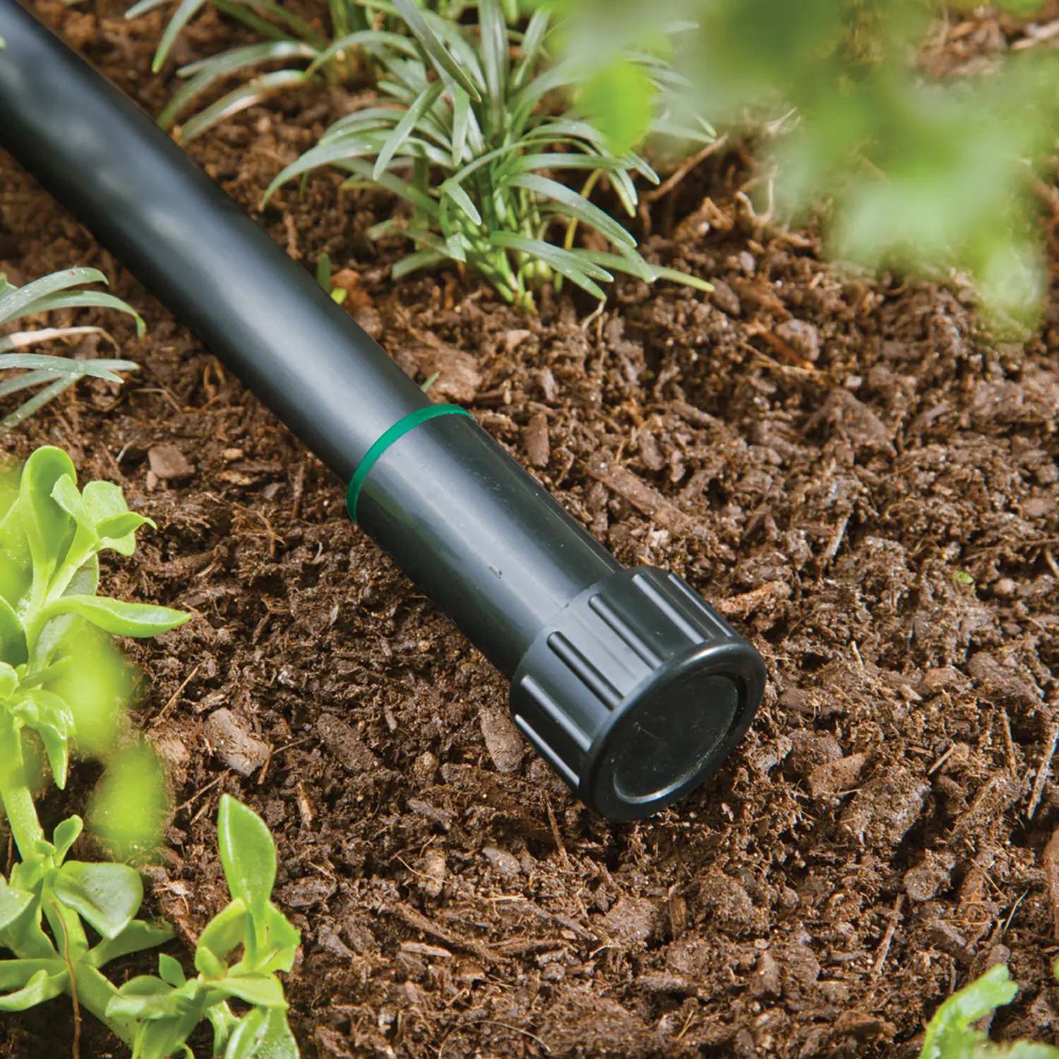Raindrip Drip Irrigation Compression Hose End Plug Ace Hardware