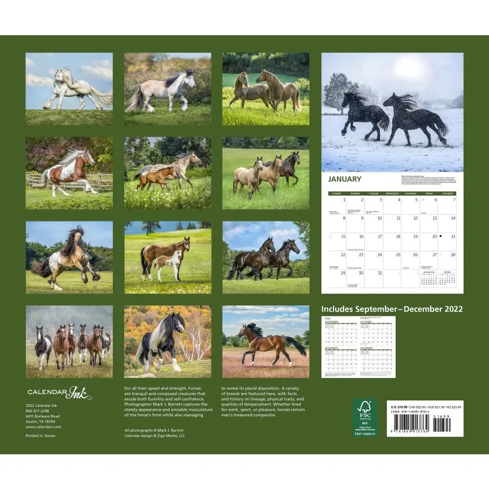Horses Deluxe 2023 Wall Calendar