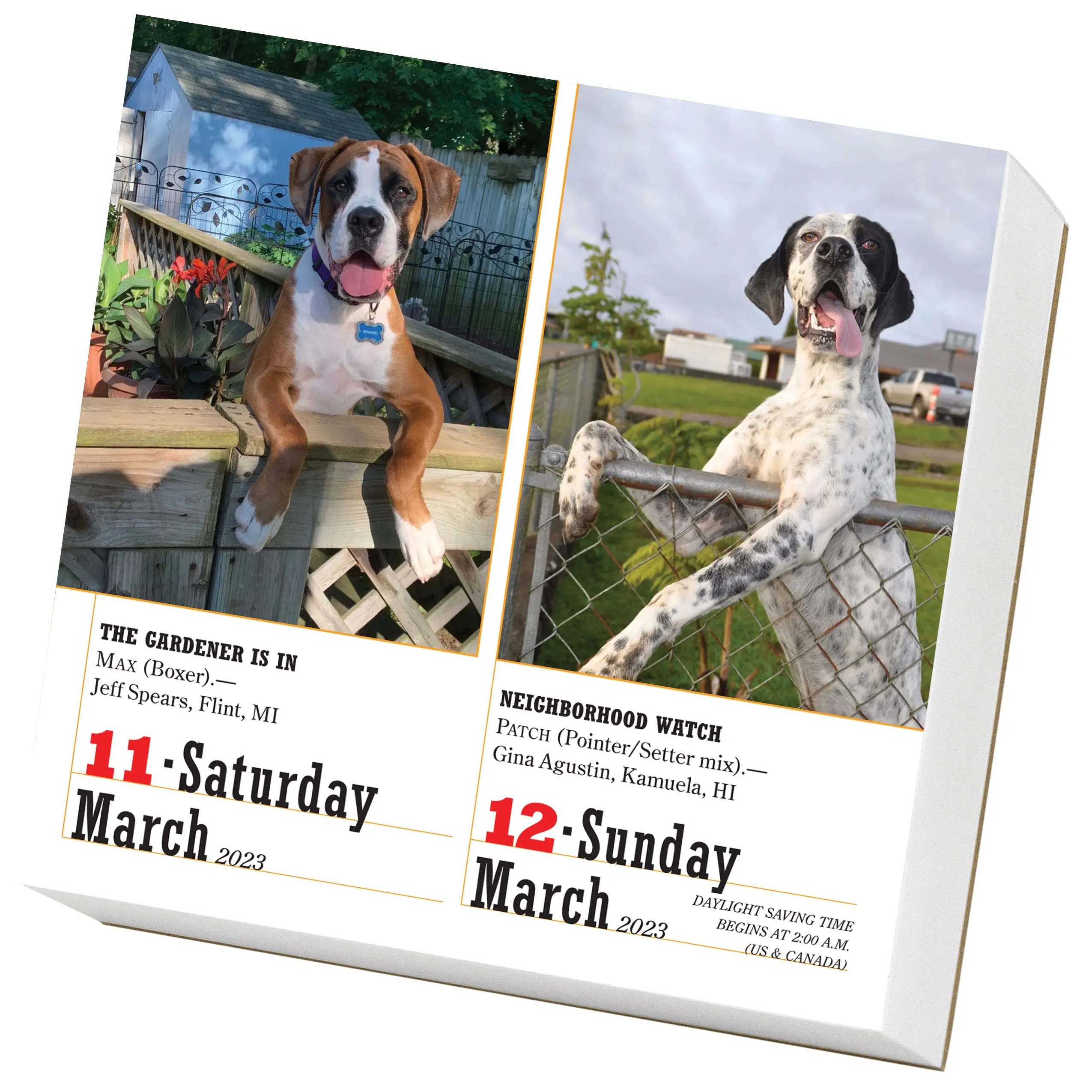 365 Dogs 2023 PageADay Calendar
