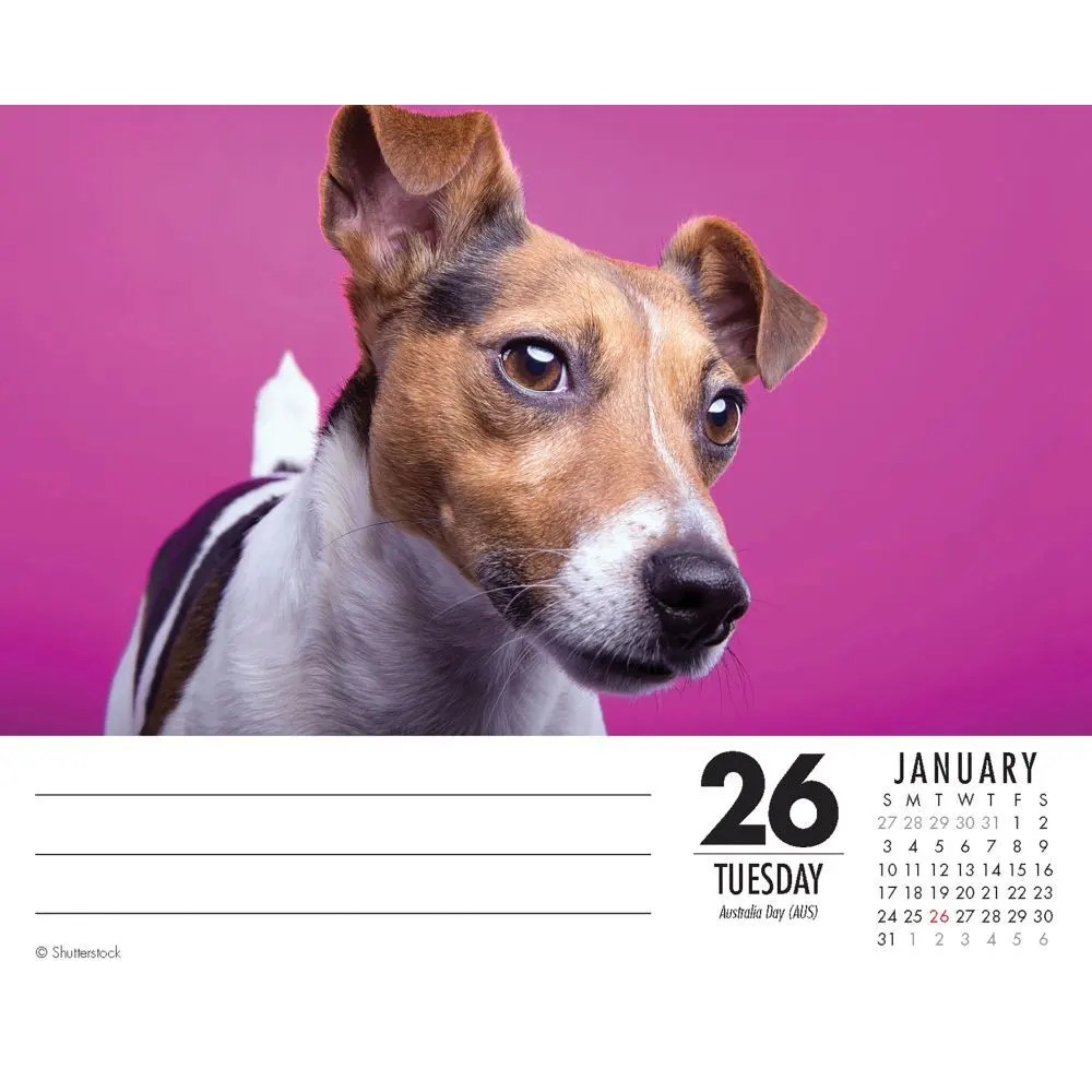 Russell Independent Calendar Jack Russells Desk Calendar