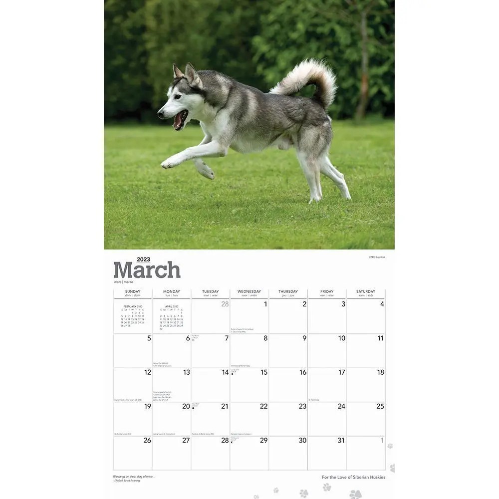 Siberian Huskies For the Love of 2023 Deluxe Wall Calendar