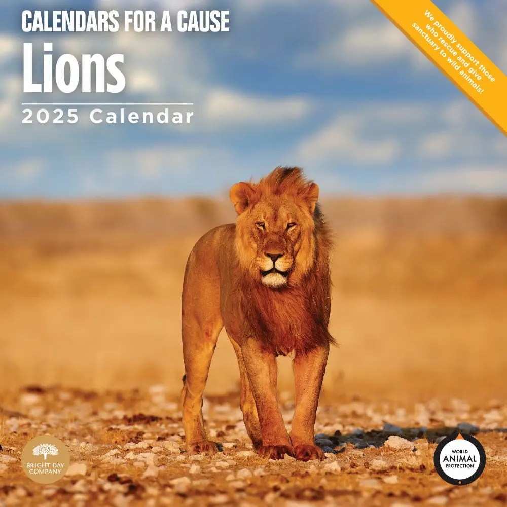 Lions 2025 Wall Calendar