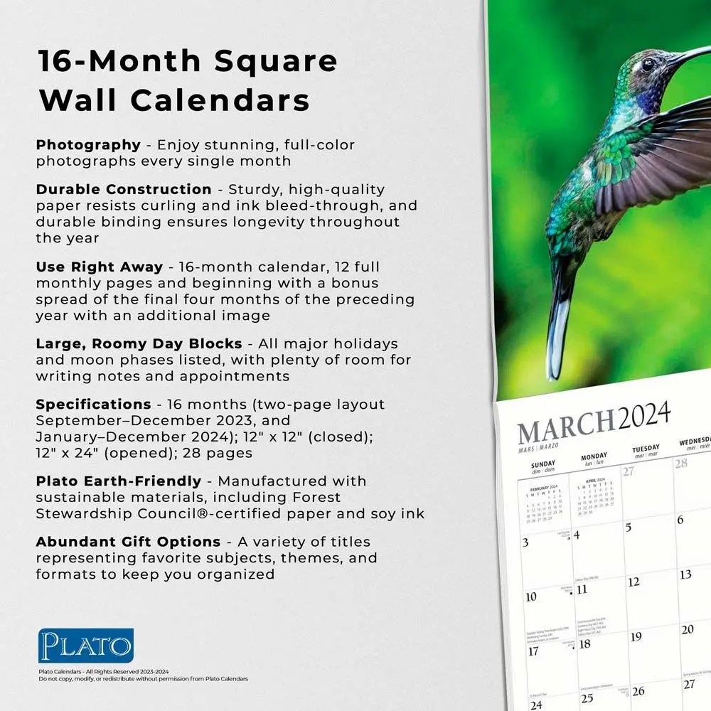 Hummingbird Calendar 2025