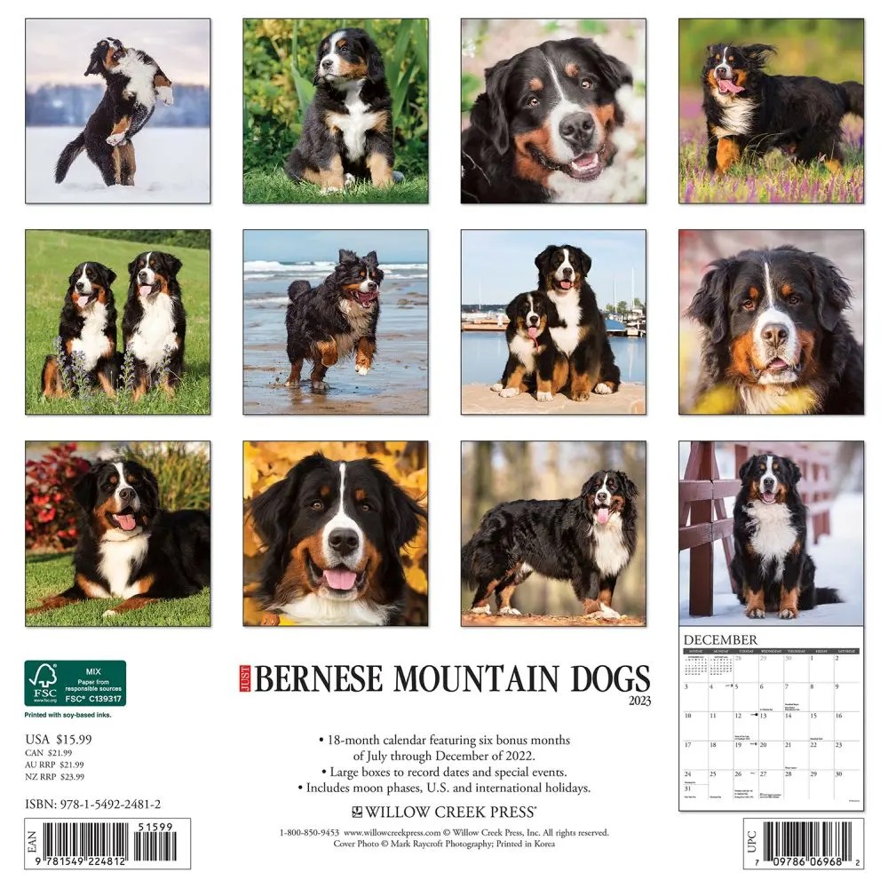 Just Bernese Mountain Dogs 2023 Wall Calendar