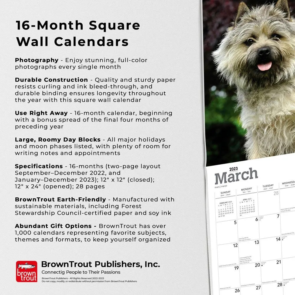 Cairn Terriers 2023 Square Wall Calendar