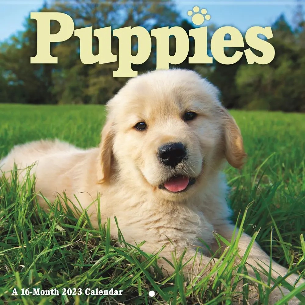 2023 Puppy Calendar Puppies 2023 Mini Wall Calendar