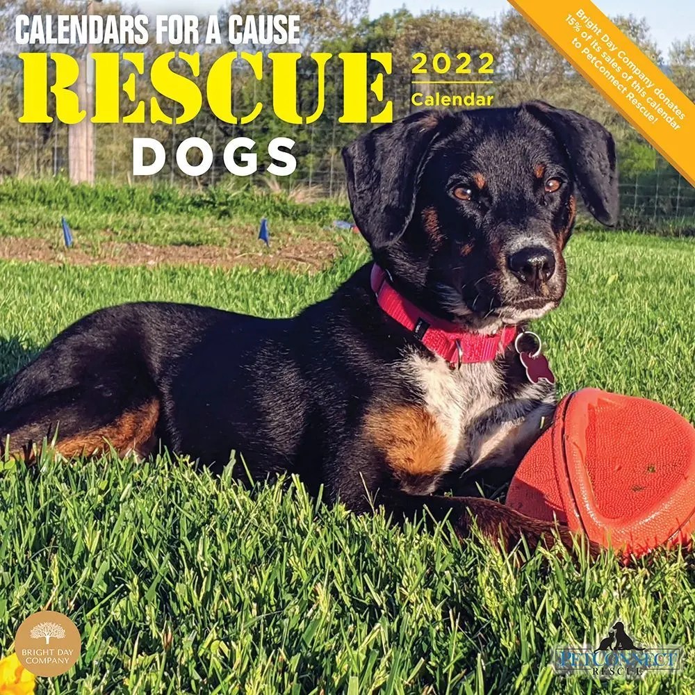 Rescue Dogs 2022 Wall Calendar