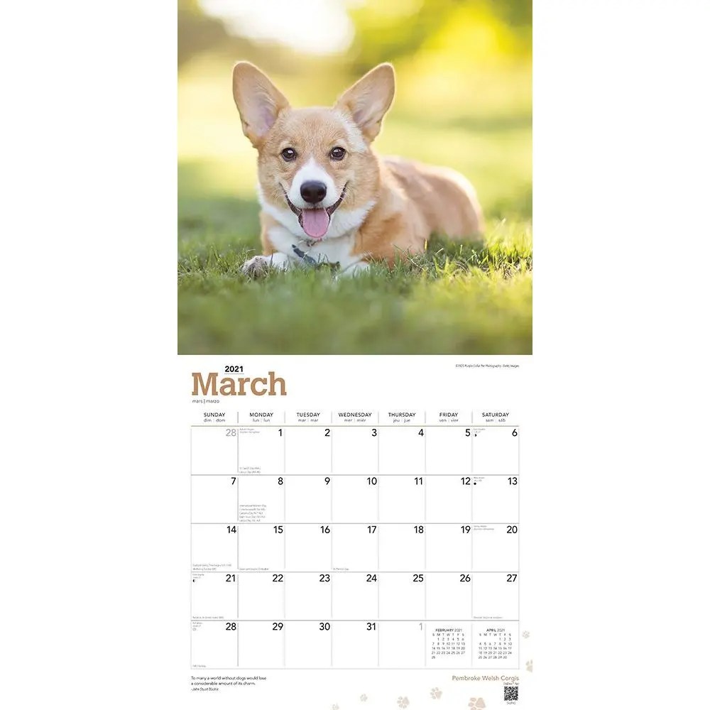 Welsh Corgi Calendar 2024 Welsh Pembroke Wall Calendar