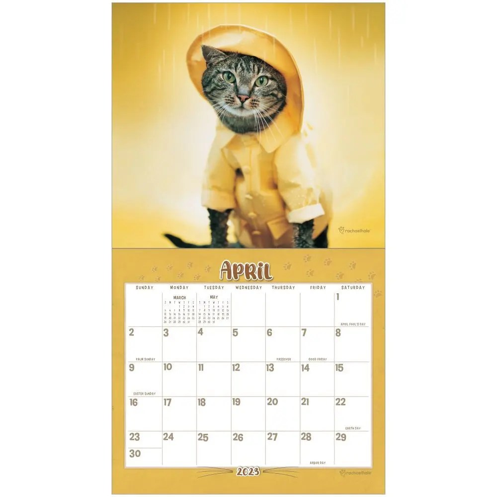 Cool Cats 2023 Calendar