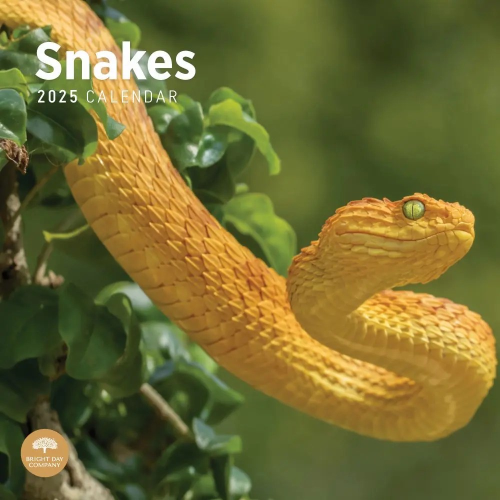 Snakes 2025 Wall Calendar