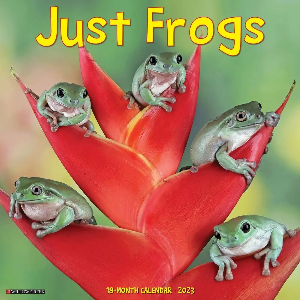 Frogs 2023 Wall Calendar